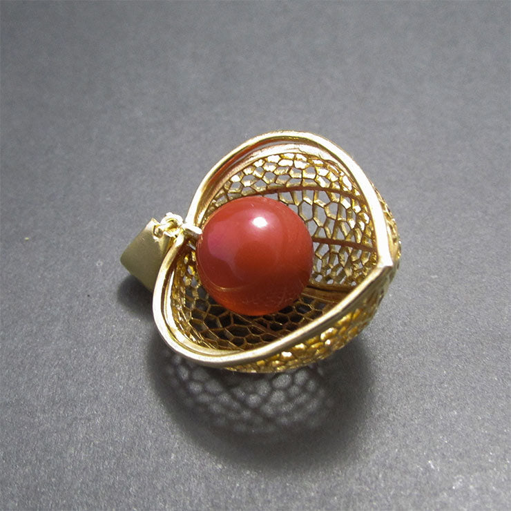 Por qué Physalis