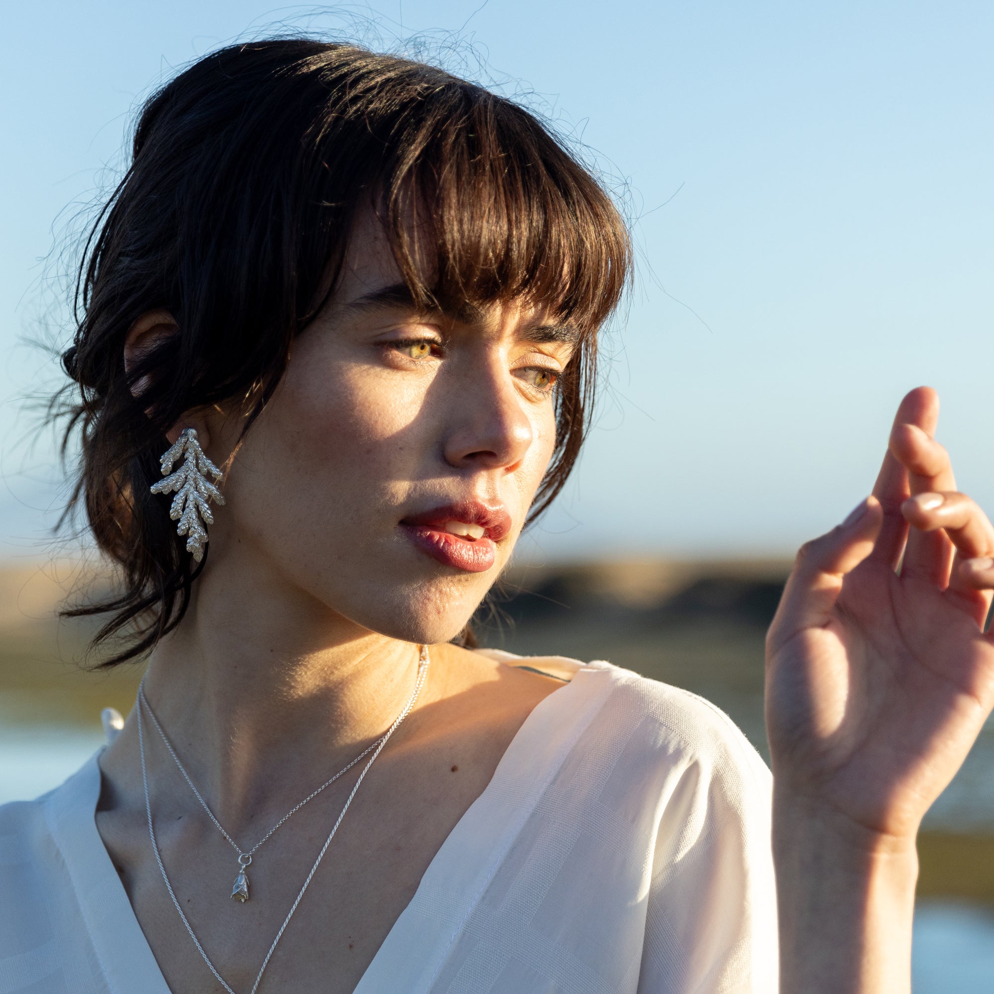 Aros Ciprés de Lawson