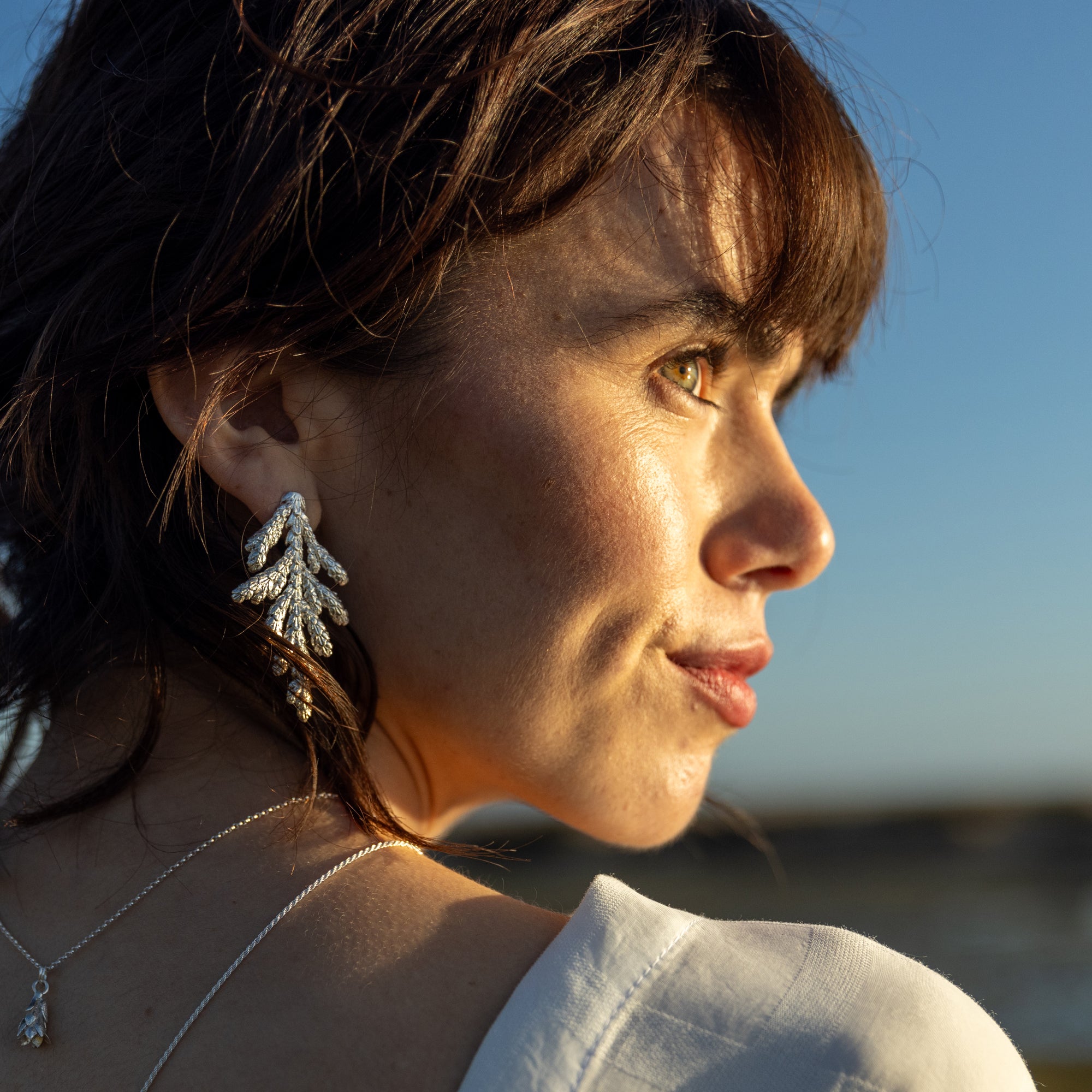 Aros Ciprés de Lawson