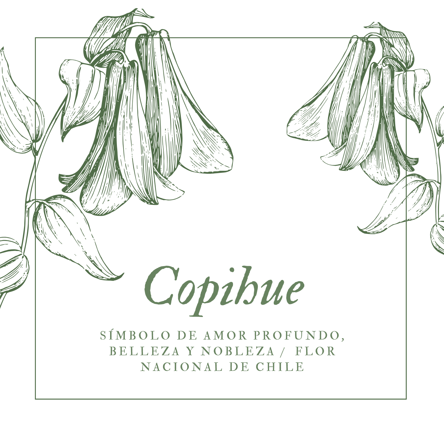 Medallita de Copihue