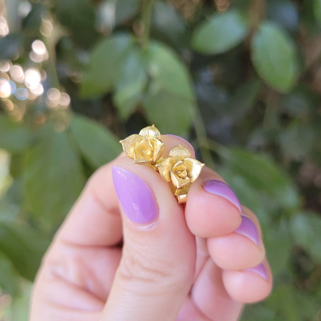 Aros Suculenta Rosa Dorada