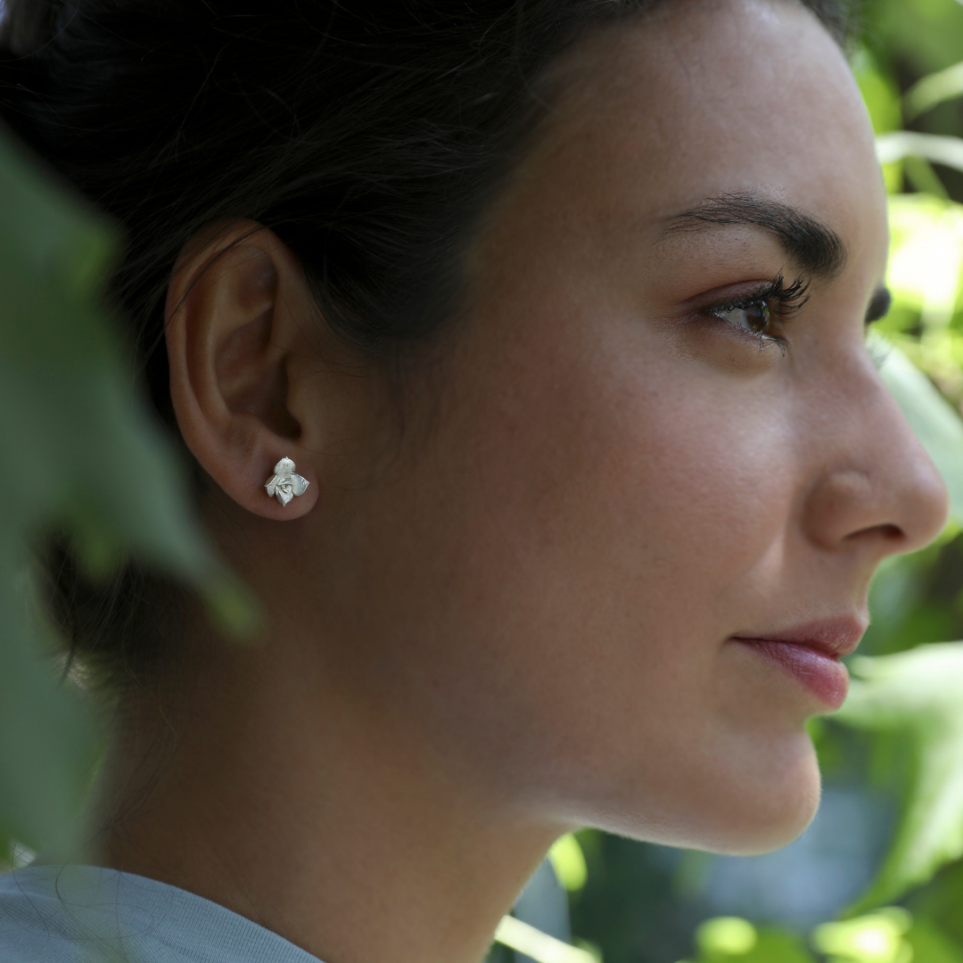 Aros Suculenta Rosa Plata