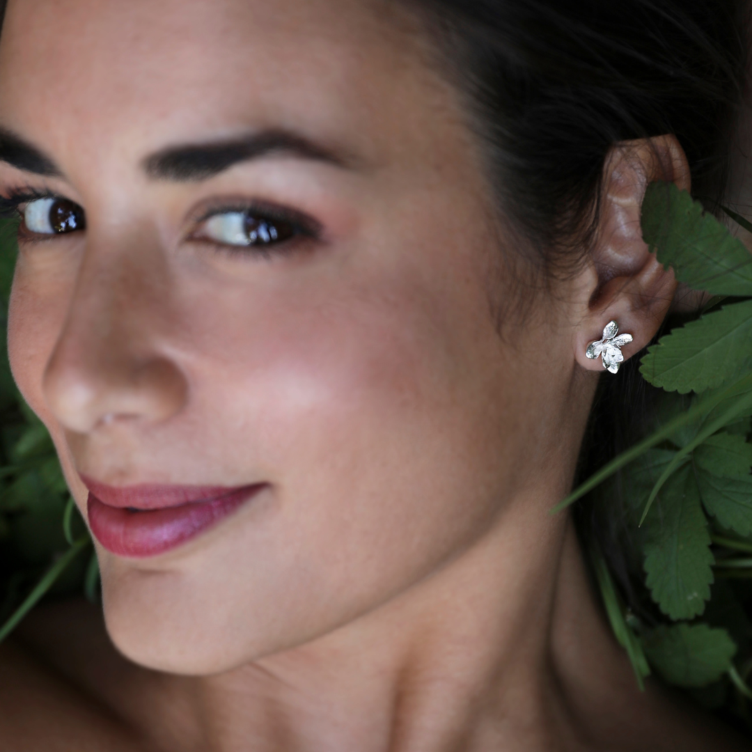 Aros Suculenta mediana Plata