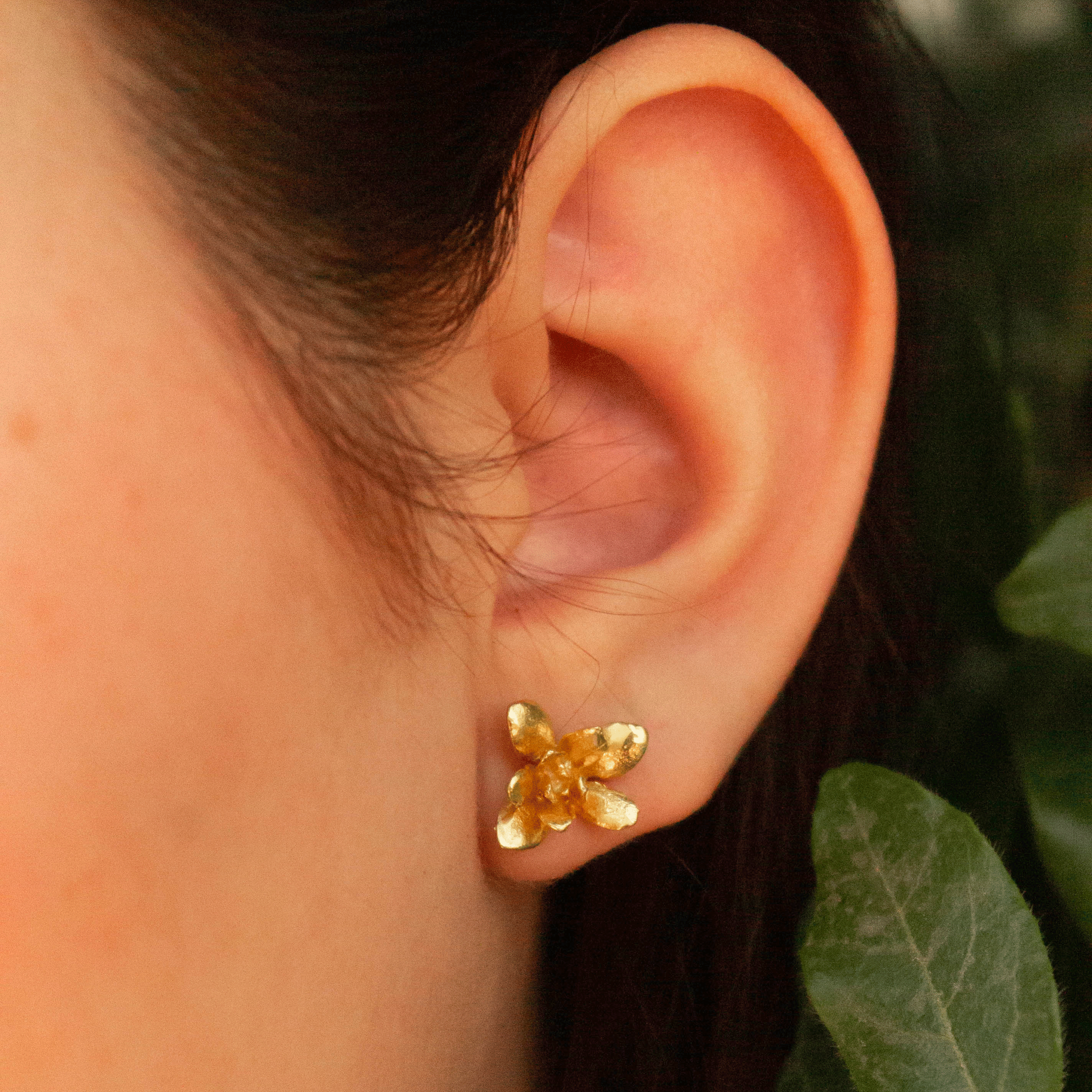 AROS SUCULENTA MEDIANA DORADOS